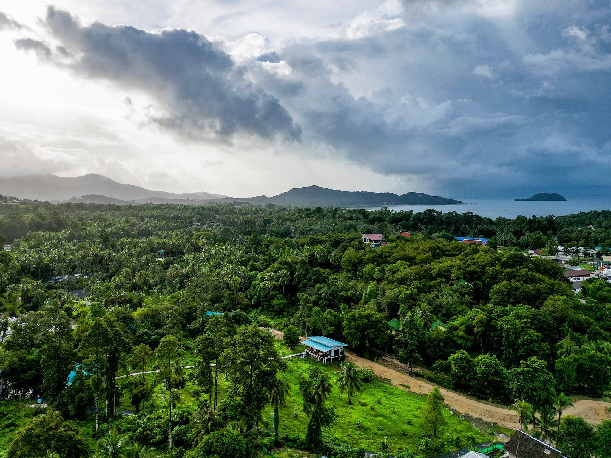 House with blue roof in the middle of lush greenery in thailand